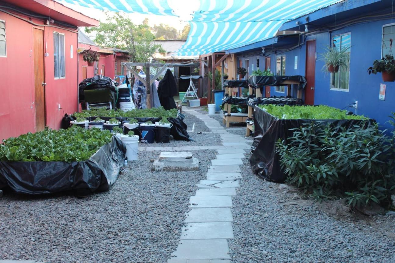 El Valle Copiapó Eksteriør billede